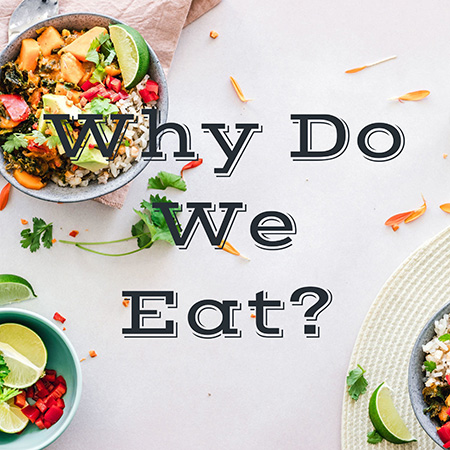 مهم ترین دلایل غذا خوردن, چرا غذا می خوریم, غذا خوردن