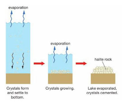 معادن سنگ تبخیری, سنگ تبخیری چگونه تشکیل میشود, سنگ تبخیری