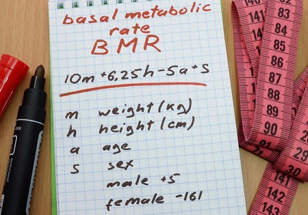 متابولیسم پایه یا BMR, میزان متابولیسم پایه, متابولیسم پایه
