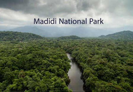 پارک ملی مادیدی,پارک ملی مادیدی کجاست,عکس های پارک ملی مادیدی