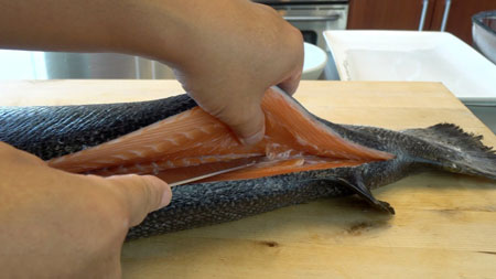 چگونه پوست ماهی را جدا کنیم,چگونه پوست ماهی یخ زده را جدا کنیم,پوست ماهی یخ زده را چگونه جدا کنیم
